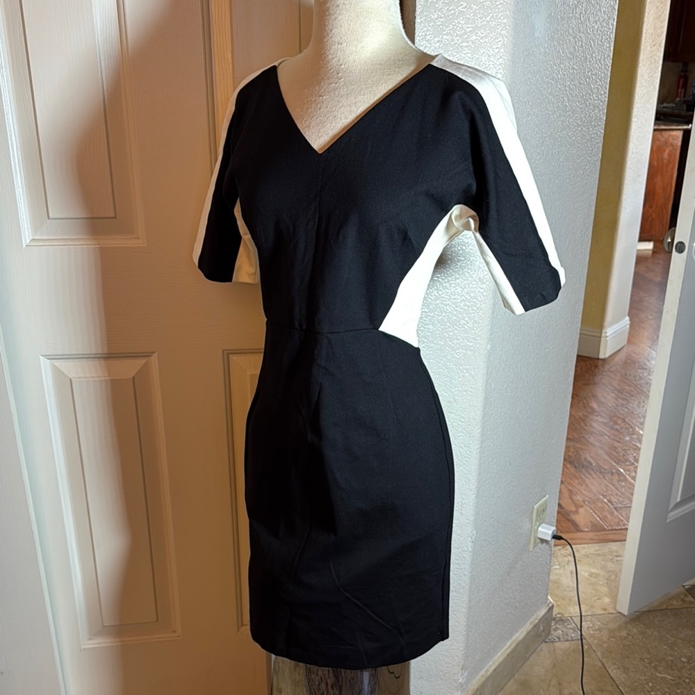 Elegant Black and White Dress